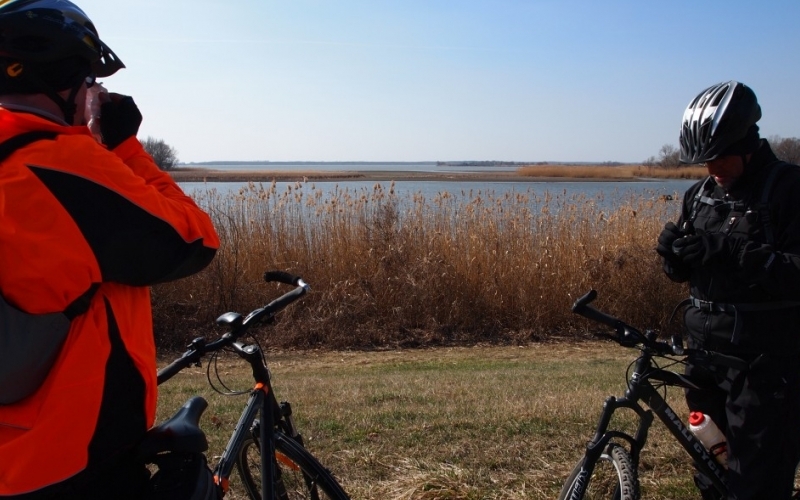 Kerékpárral a Tisza-tó körül
